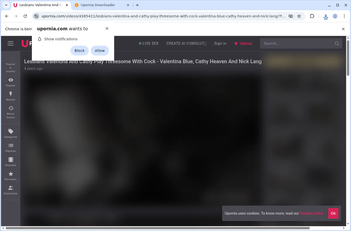 Upornia Video Downloader screenshot 4