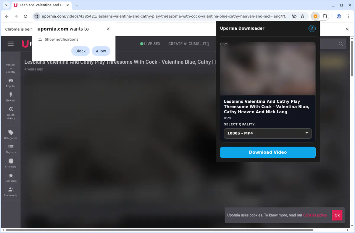 Upornia Video Downloader screenshot 5